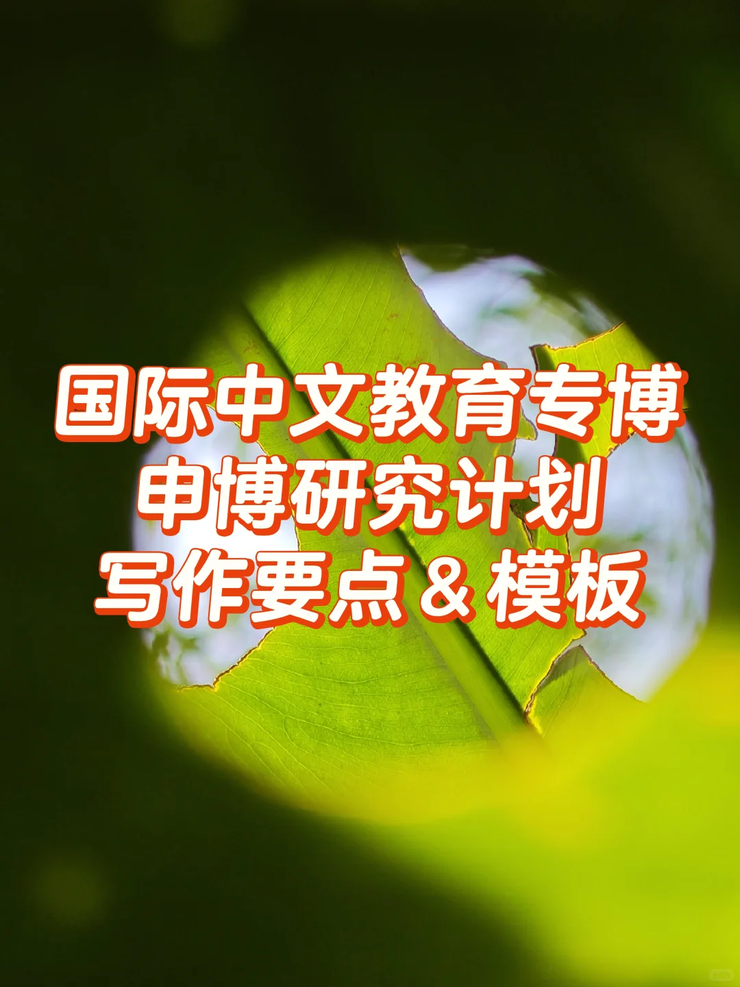 国际中文教育专博 研究计划这样写更加分！