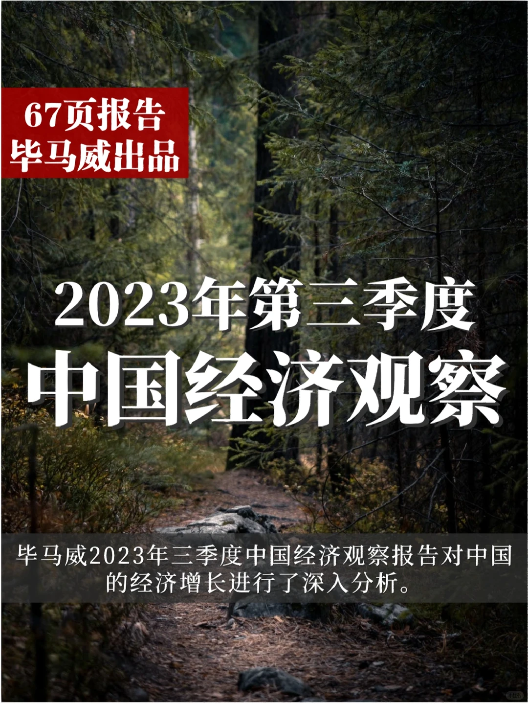 67页报告｜毕马威2023第三季度经济观察?