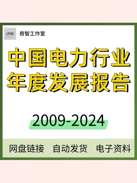 中国电力行业年度发展报告2024