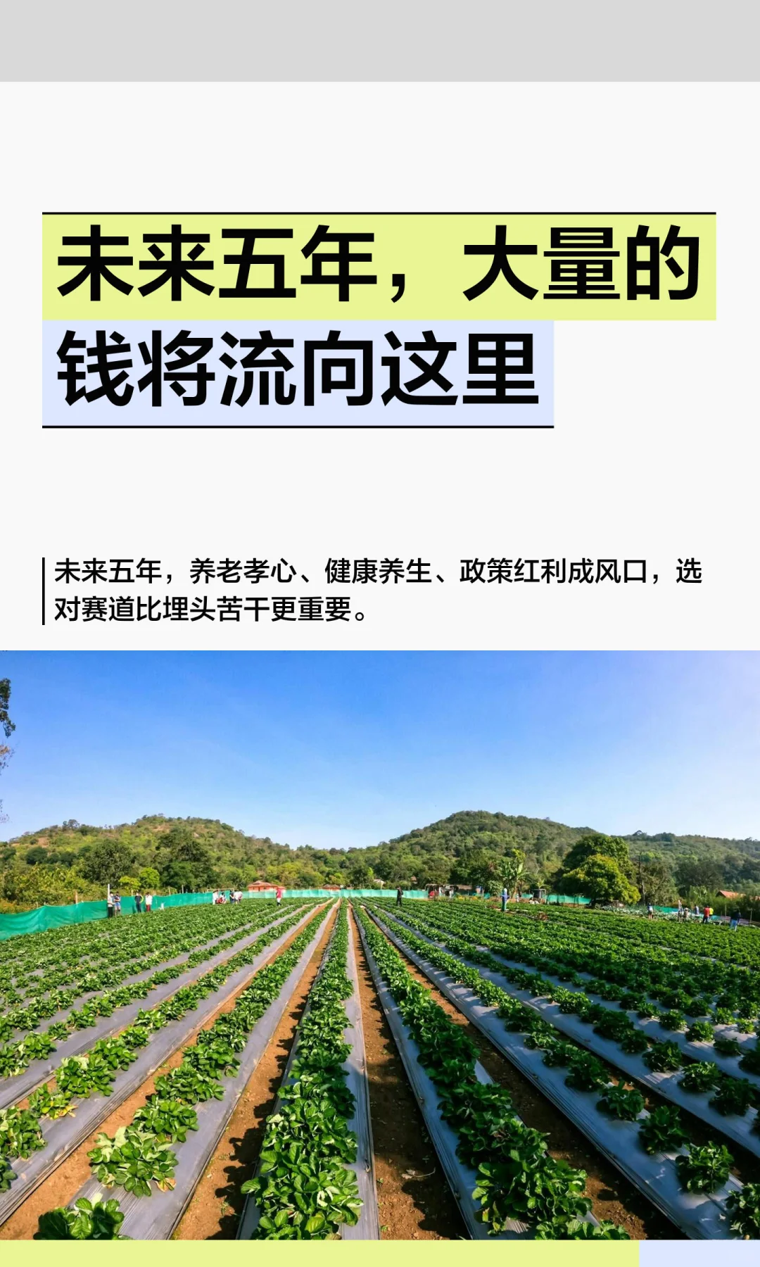 未来五年，大量的钱将流向这里