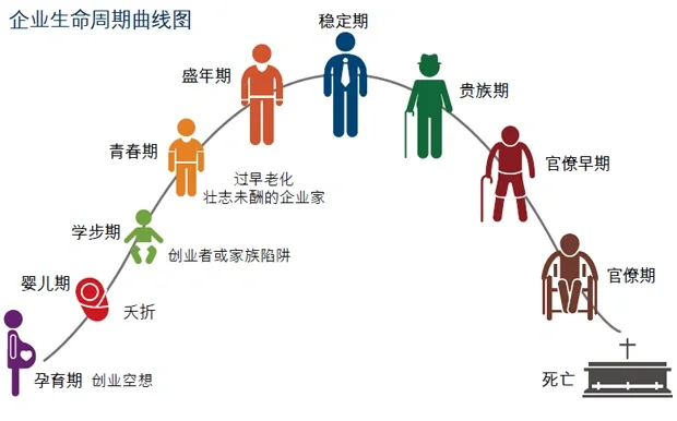企业和人的生命周期。