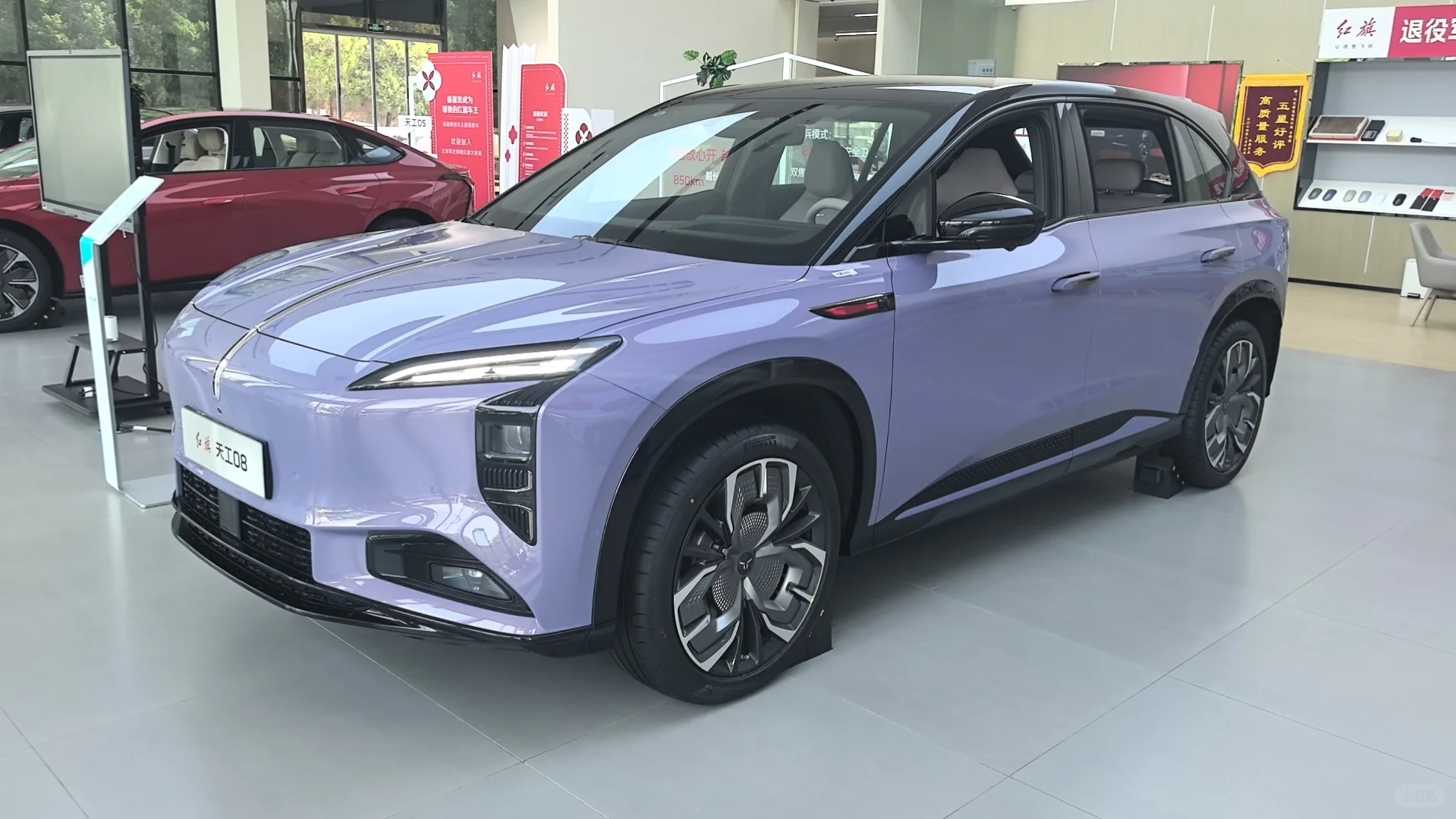 新能源品牌存活现状