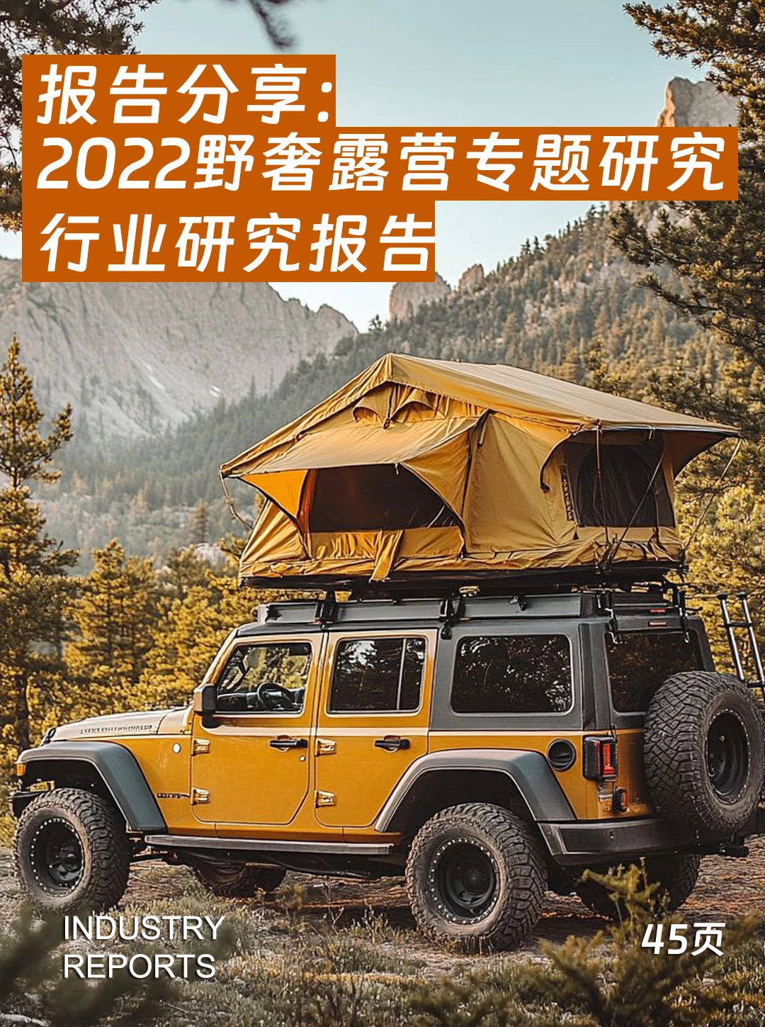 45页|2022野奢露营专题研究行业研究报告