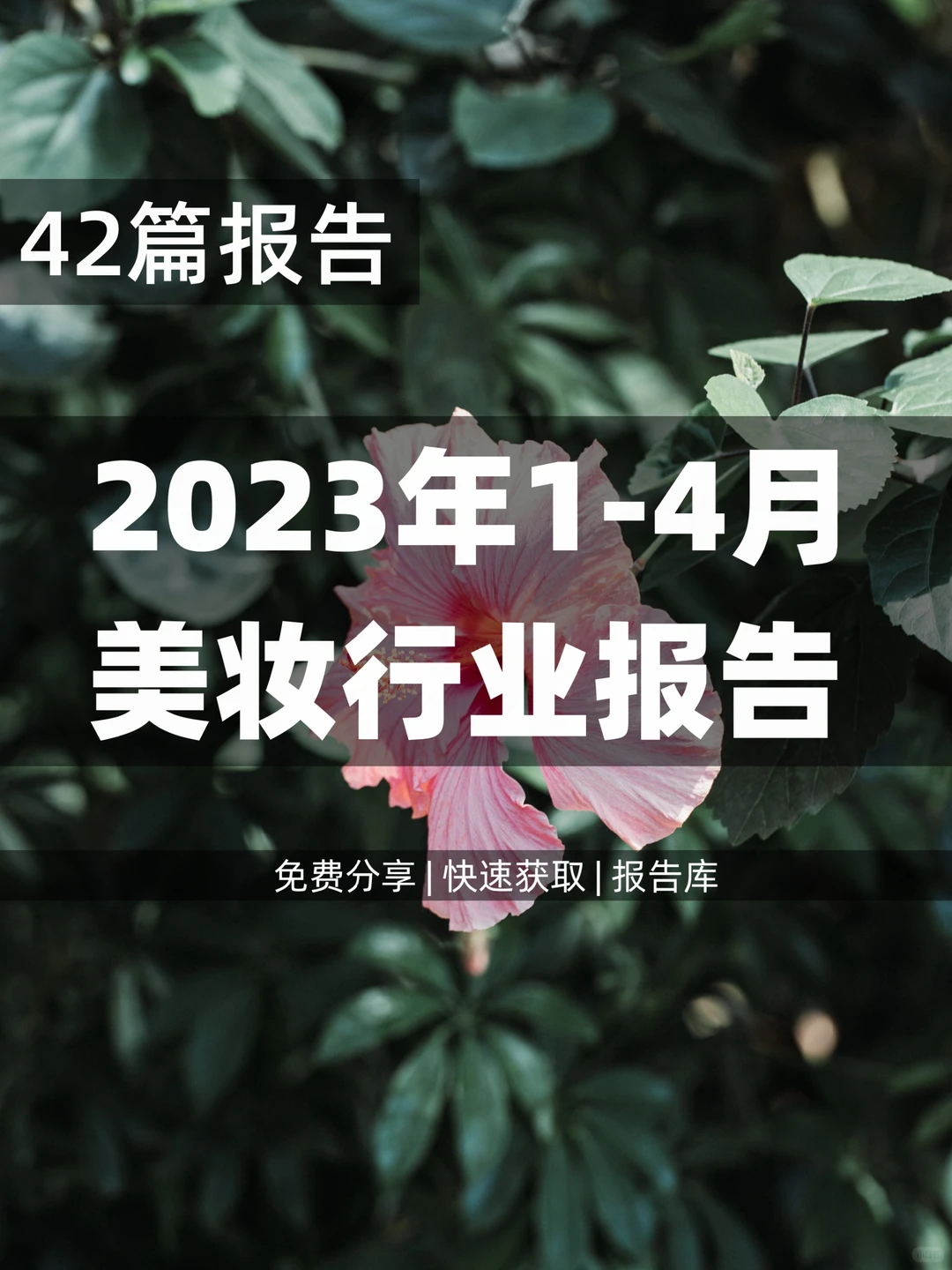 42篇 | 整理了2023年美妆报告合集
