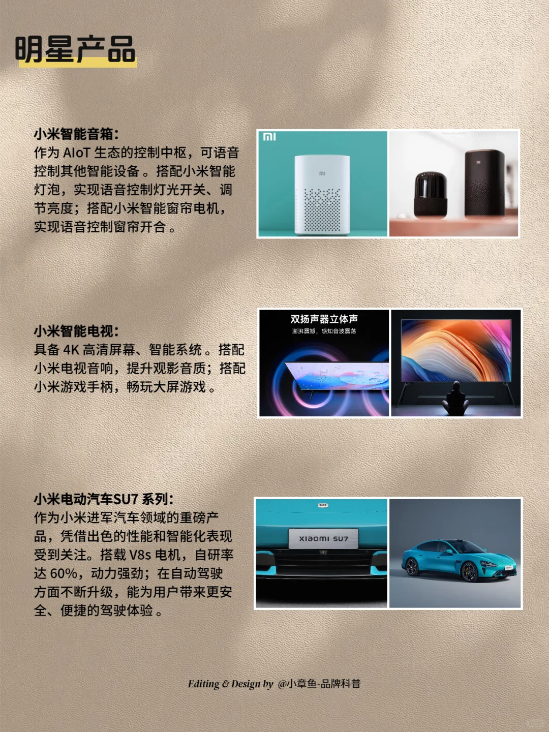 每天认识一个品牌 | 小米