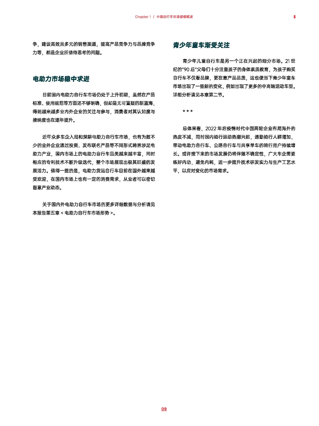 2022年中国自行车行业调查报告-111页