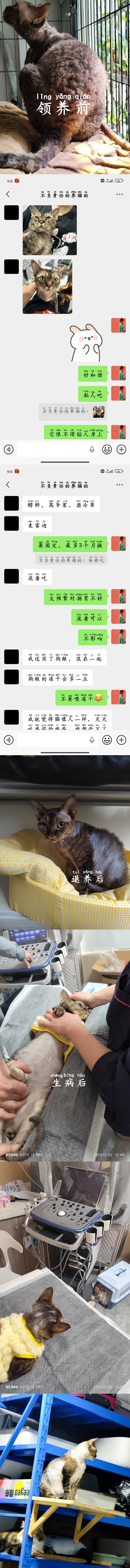 被软虐待的德文
