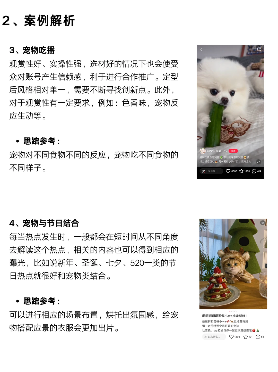 每天分析一个赛道！今天分析的是宠物赛道