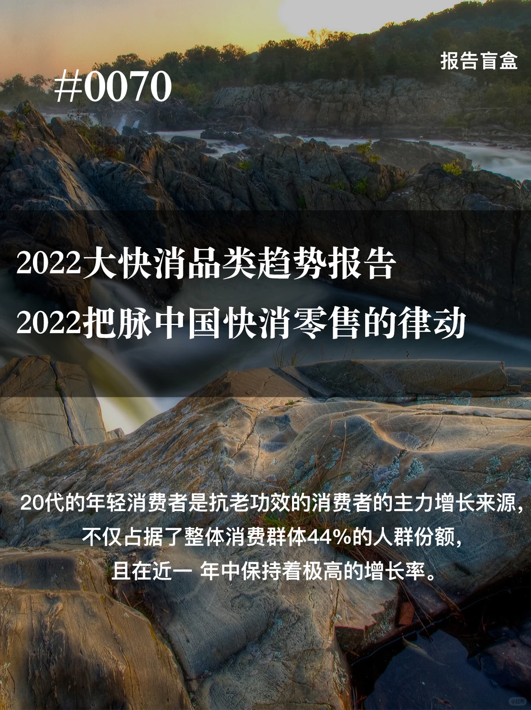 #0070|2022大快消品类趋势报告