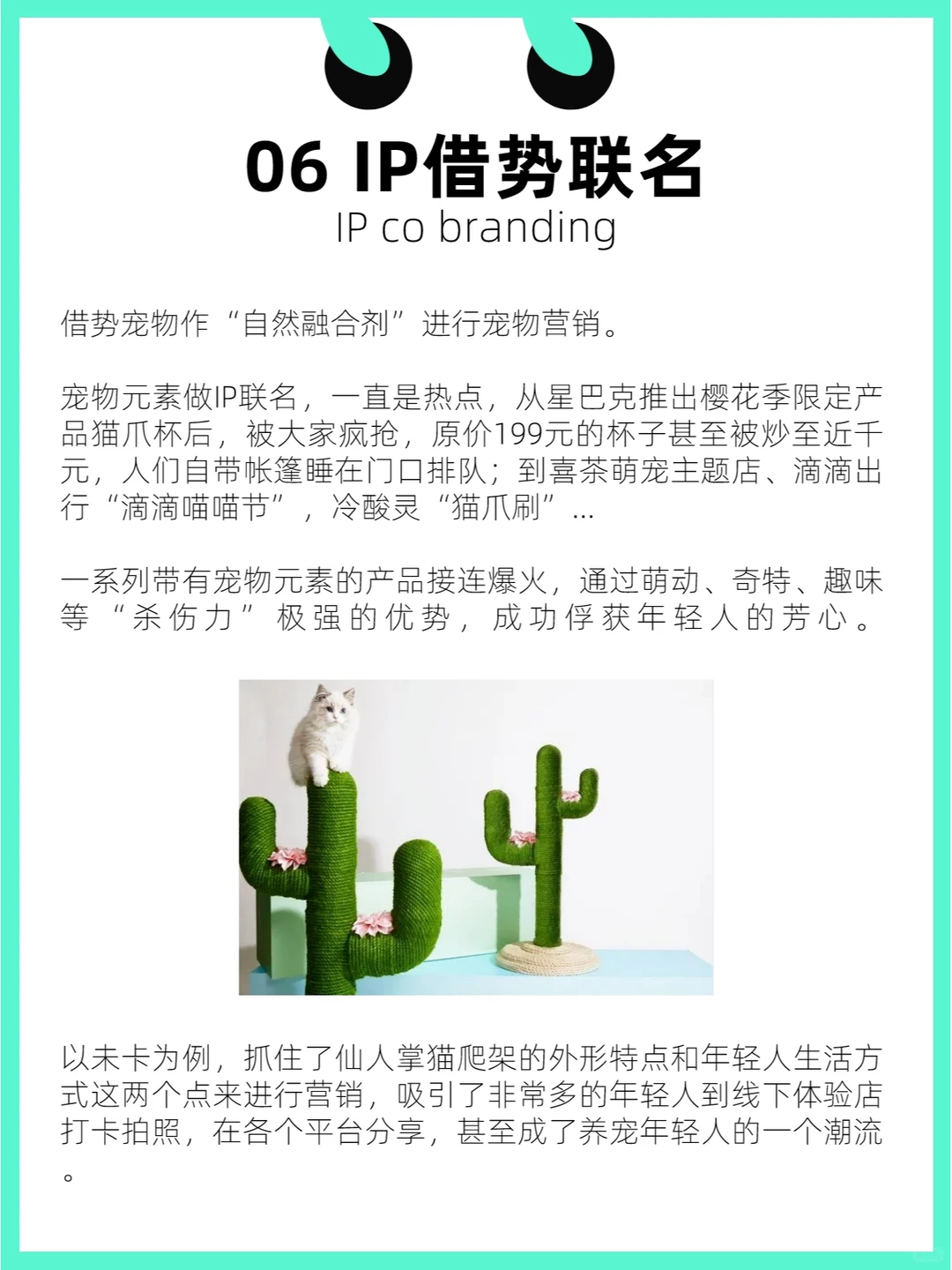 ?品牌方:宠物经济风口下6个高潜力赛道