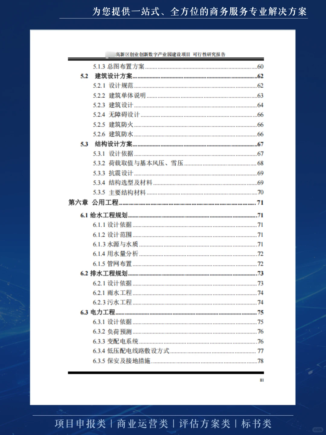 这份可行性研究报告，不仅厚而且专