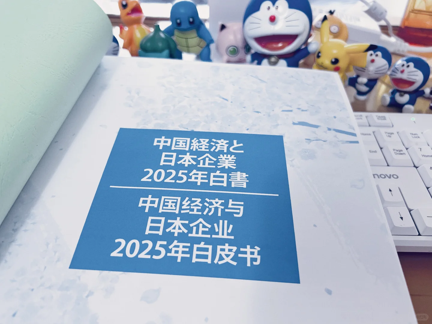 日语翻译素材：中国经济与日本企业白皮书
