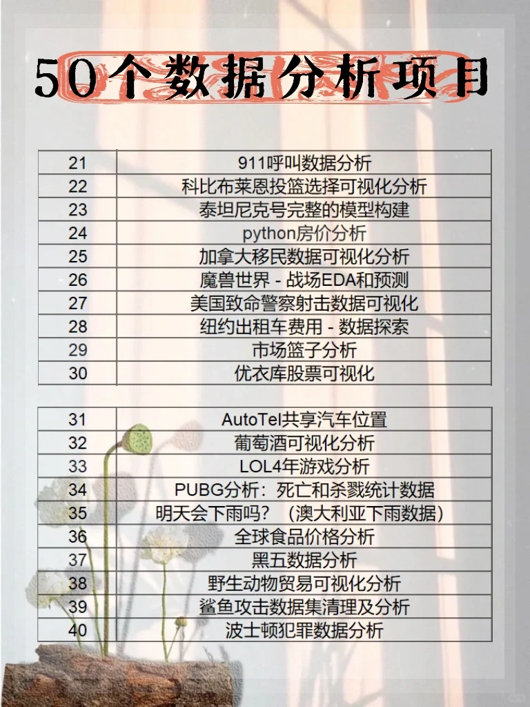 50个数据分析项目，让你成为数据小能手！
