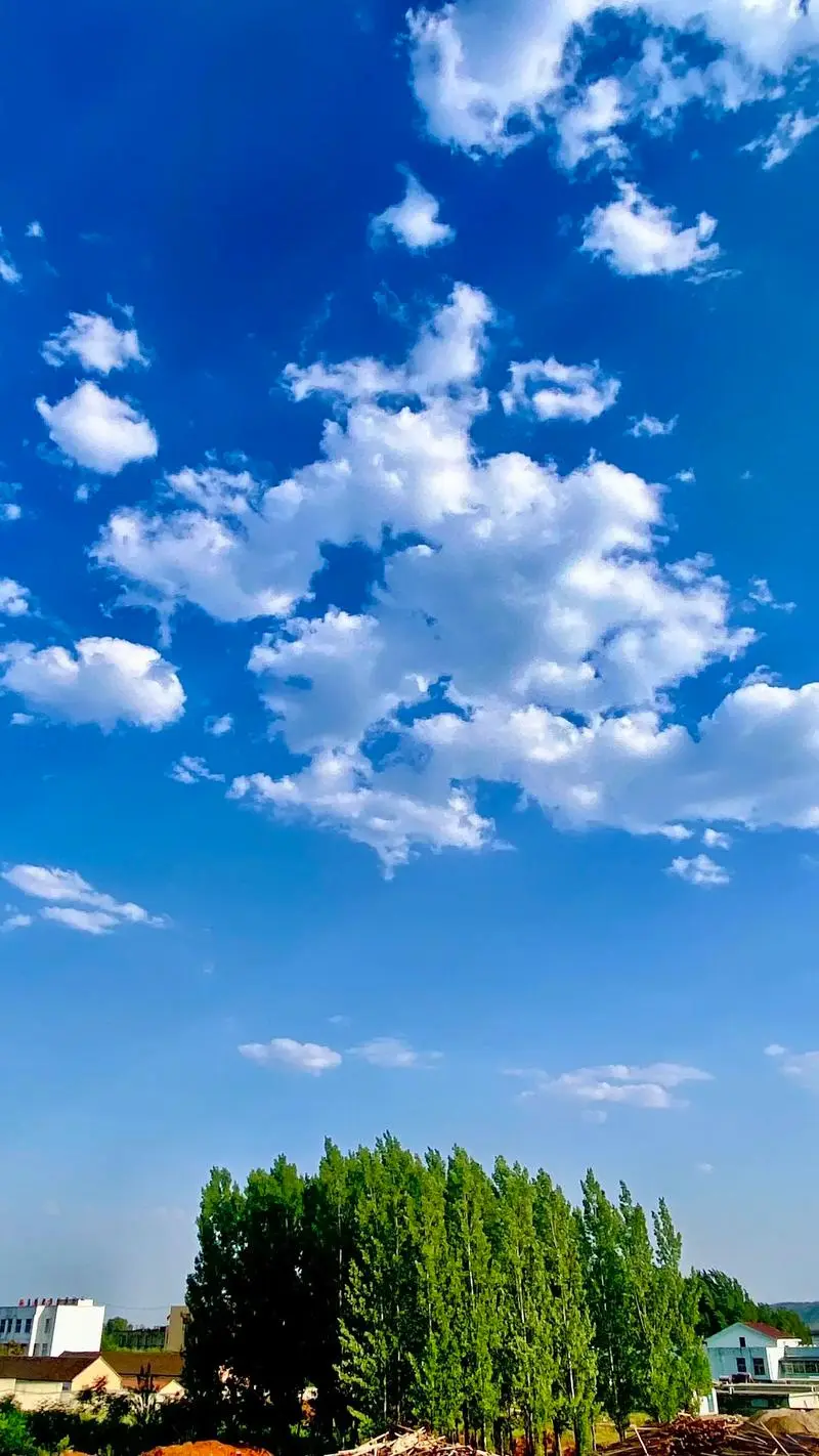 人力资源部规范化管理汇编(全套完整版)