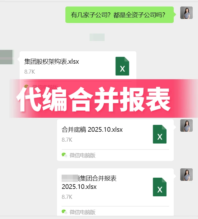 代做财务分析 经营分析 预算 合并报表 总结