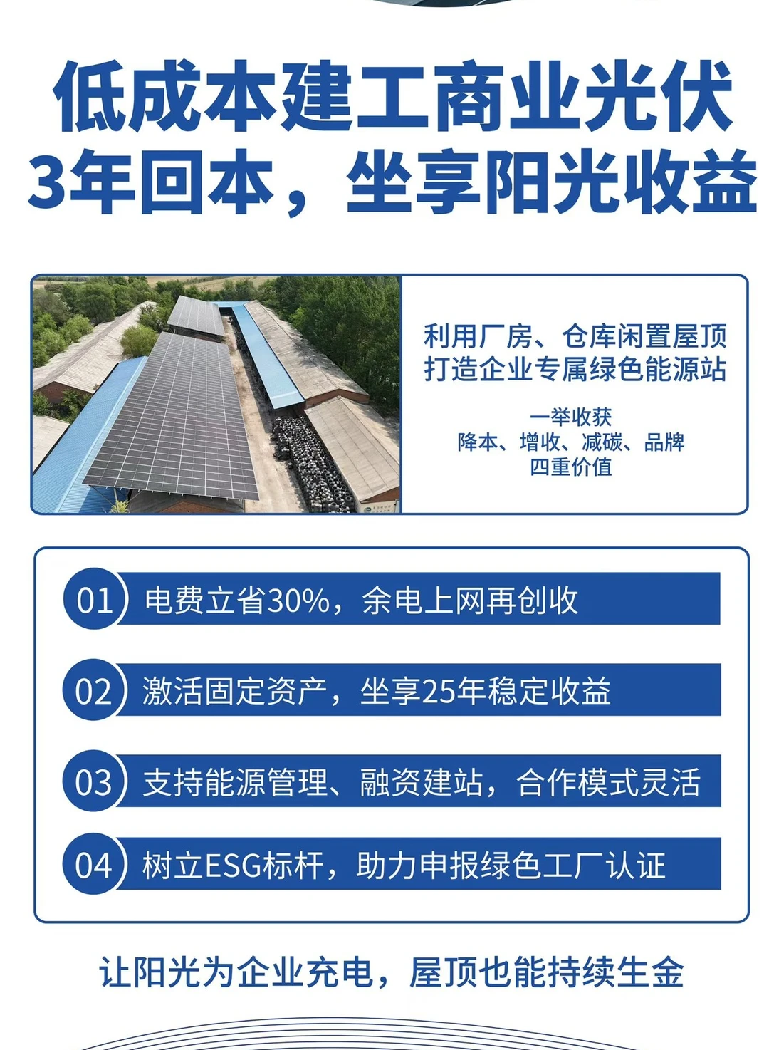 绿色能源的未来在哪里