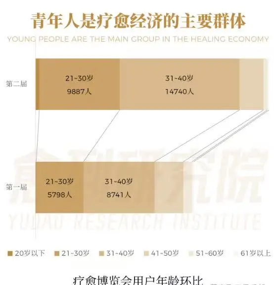 疗愈经济崛起 中国城镇居民心理健康白皮书
