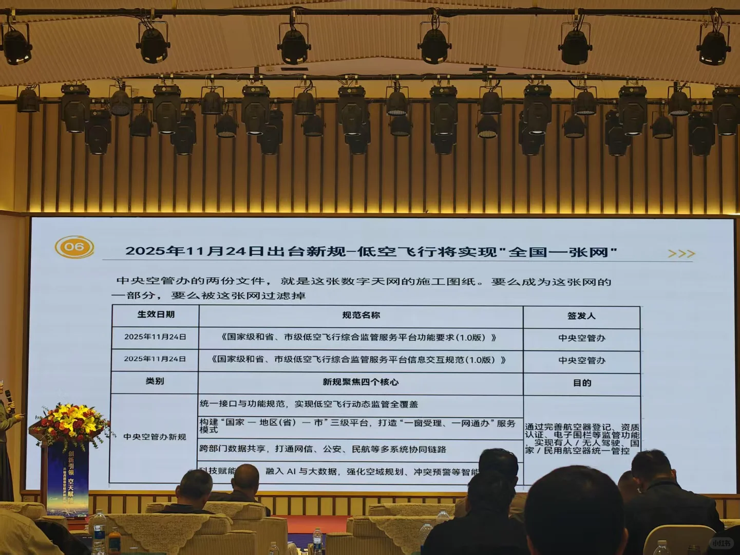 新疆低空经济如何发展？