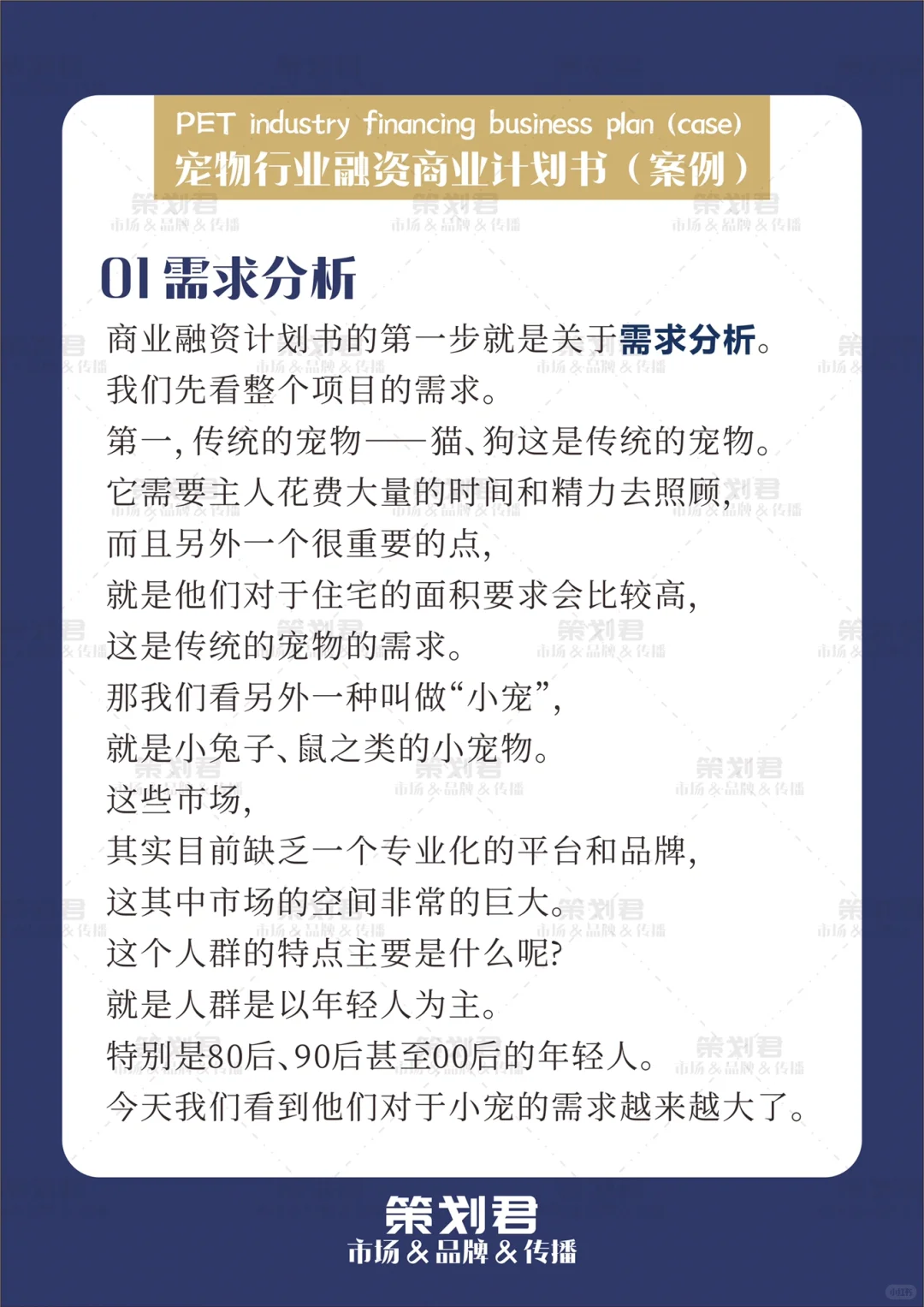 宠物行业融资商业计划书（案例）?