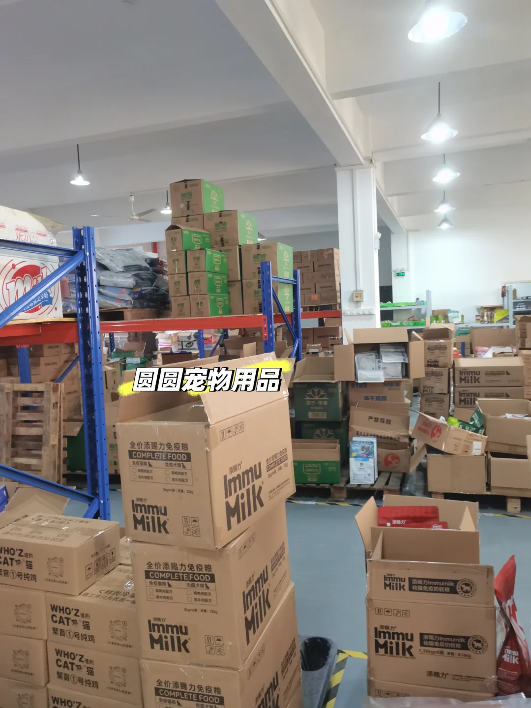 风口赛道宠物用品！