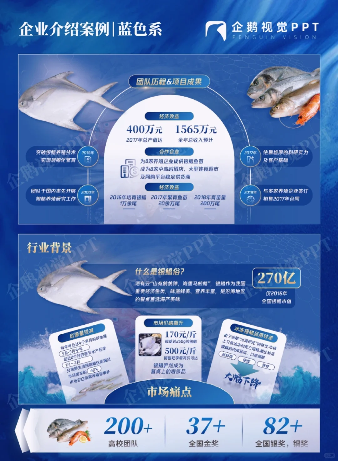 企业介绍案例 | 蓝色系《苍蓝水产》