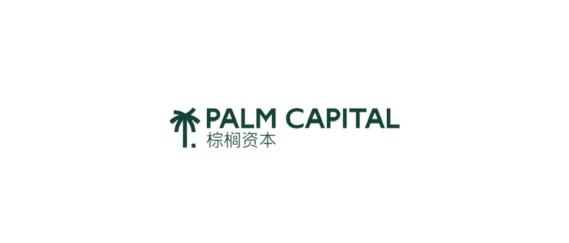 棕榈资本投资分析师实习 ?