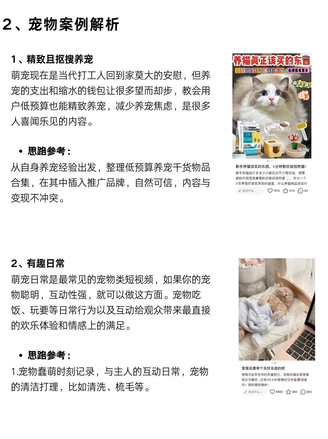 每天分析一个赛道！今天分析的是宠物赛道