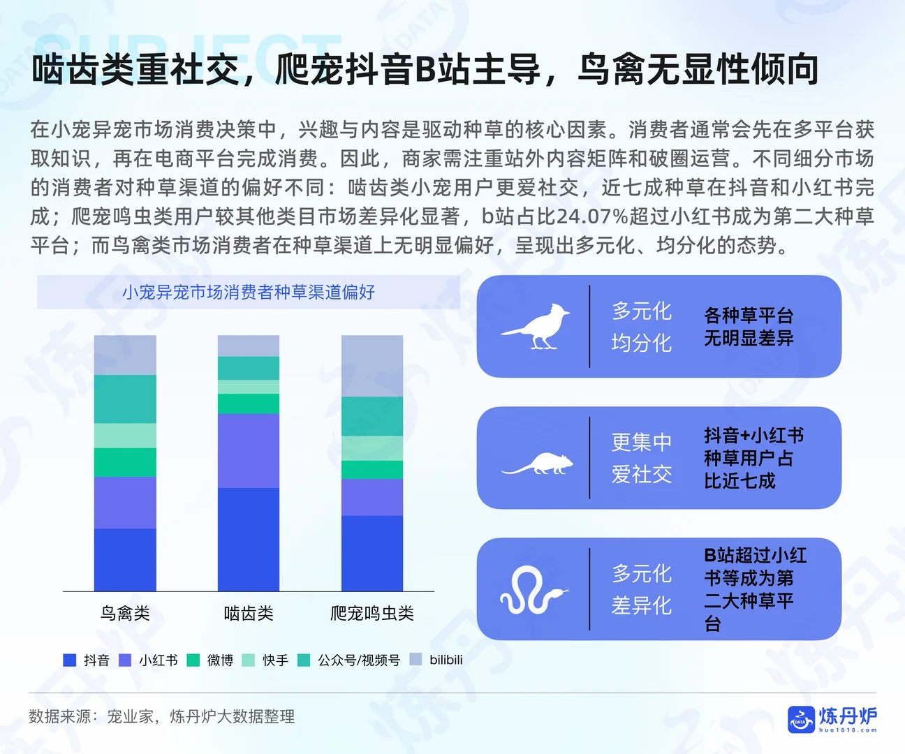 水族行业报告 水族小宠异宠市场消费报告