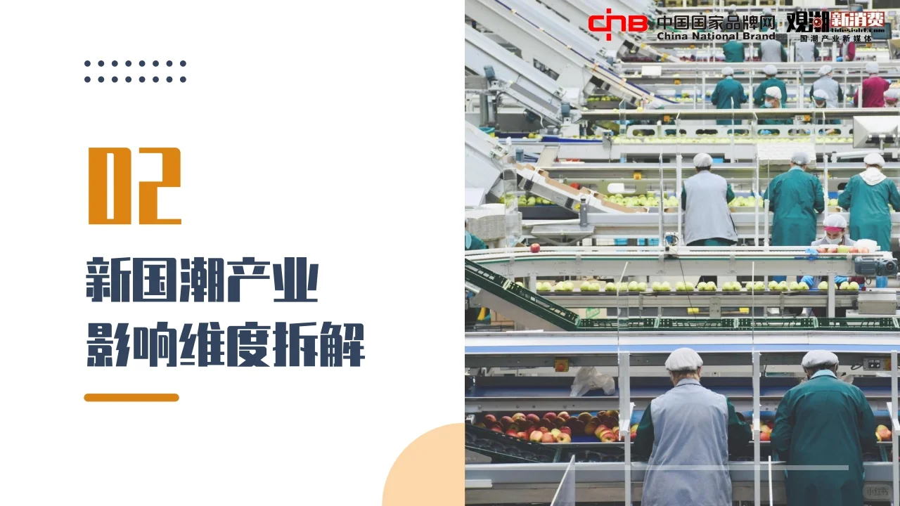 2022国潮品牌发展洞察报告行业报告研究
