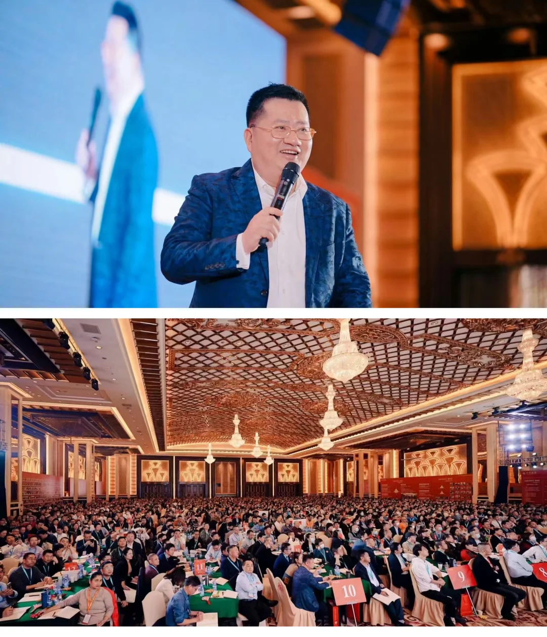 创新式增长策略班