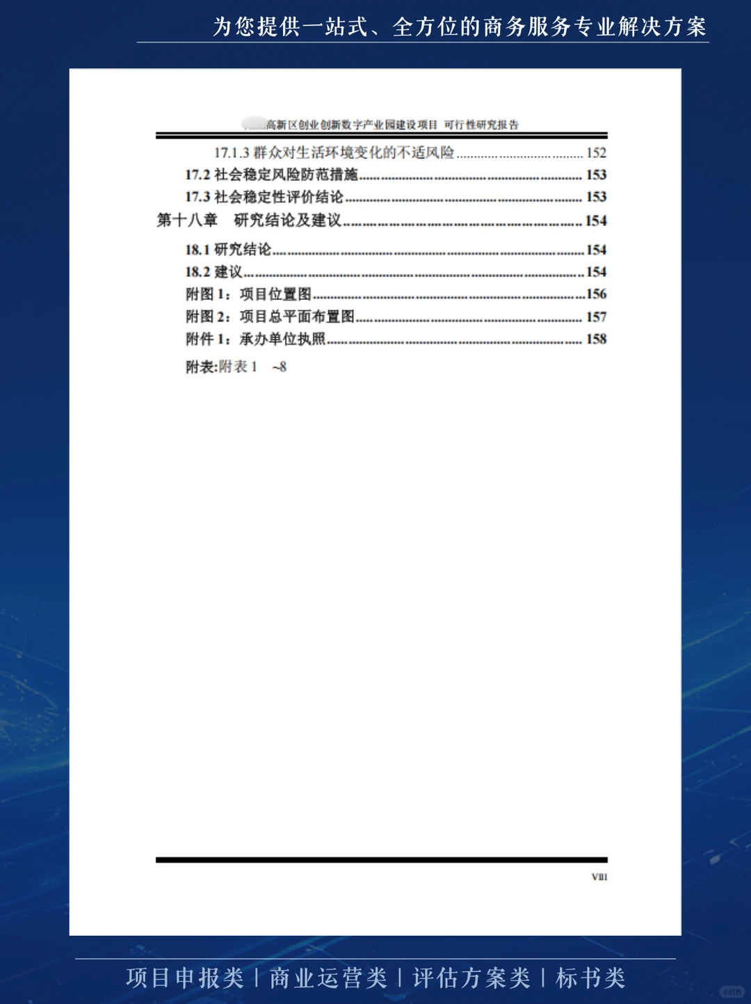 这份可行性研究报告，不仅厚而且专