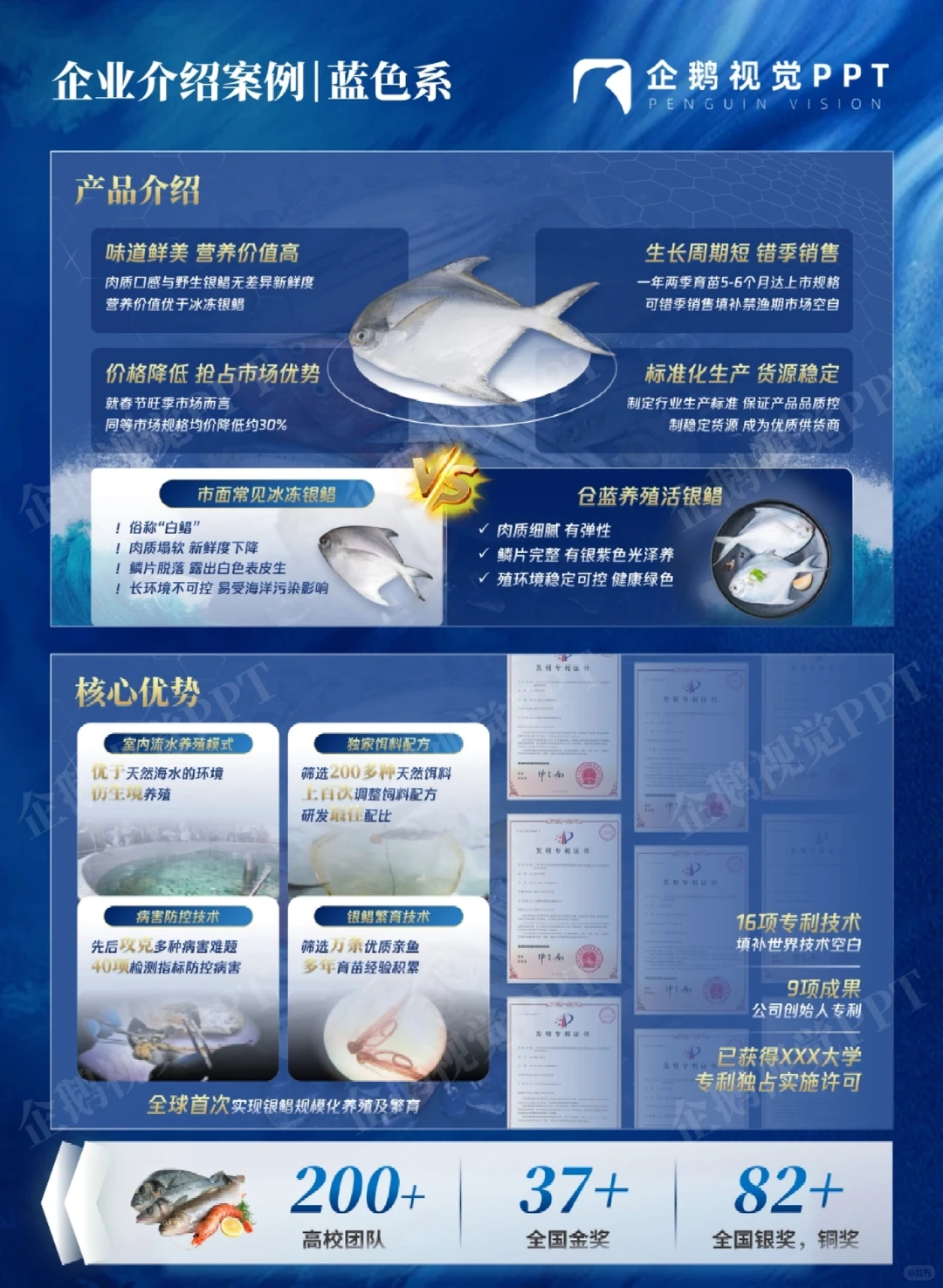 企业介绍案例 | 蓝色系《苍蓝水产》