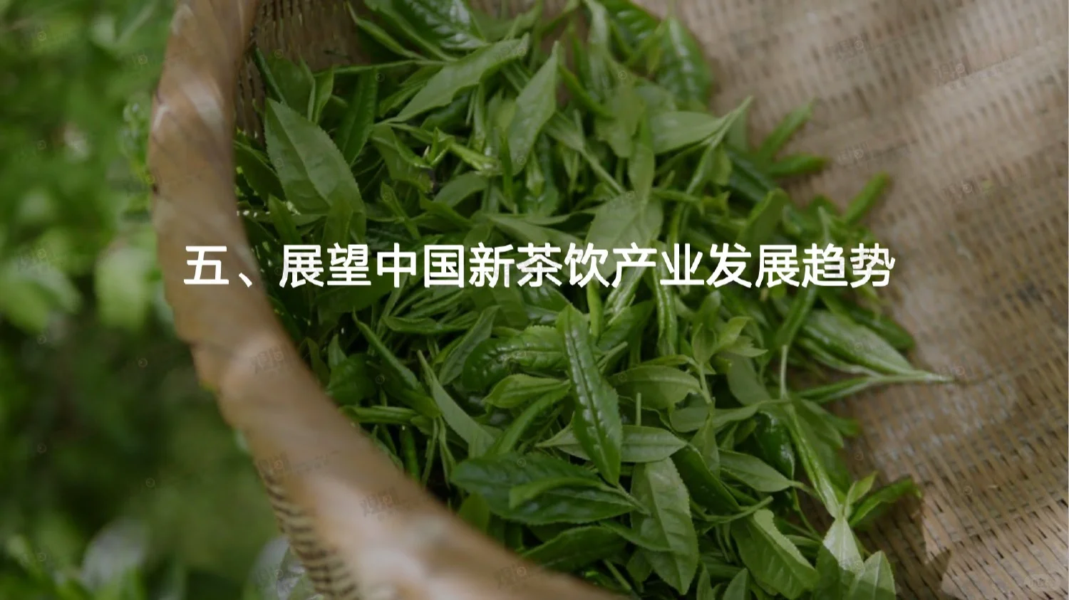 60页报告|2023国潮新茶饮趋势洞察