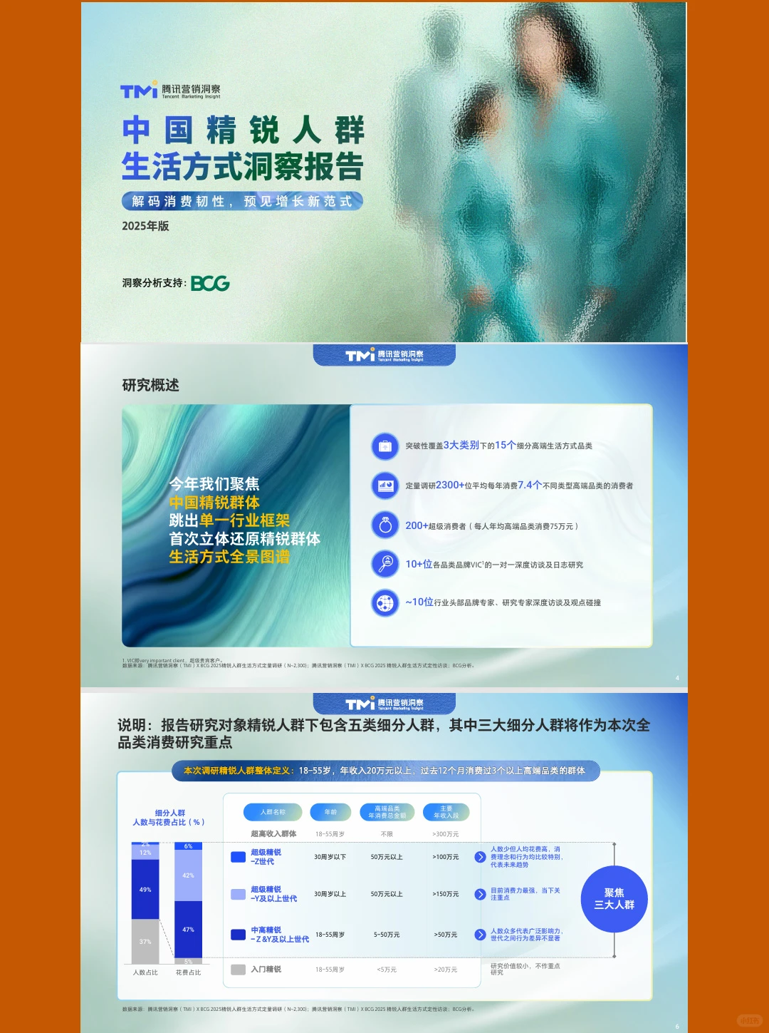 中国精锐人群生活方式洞察报告|65页