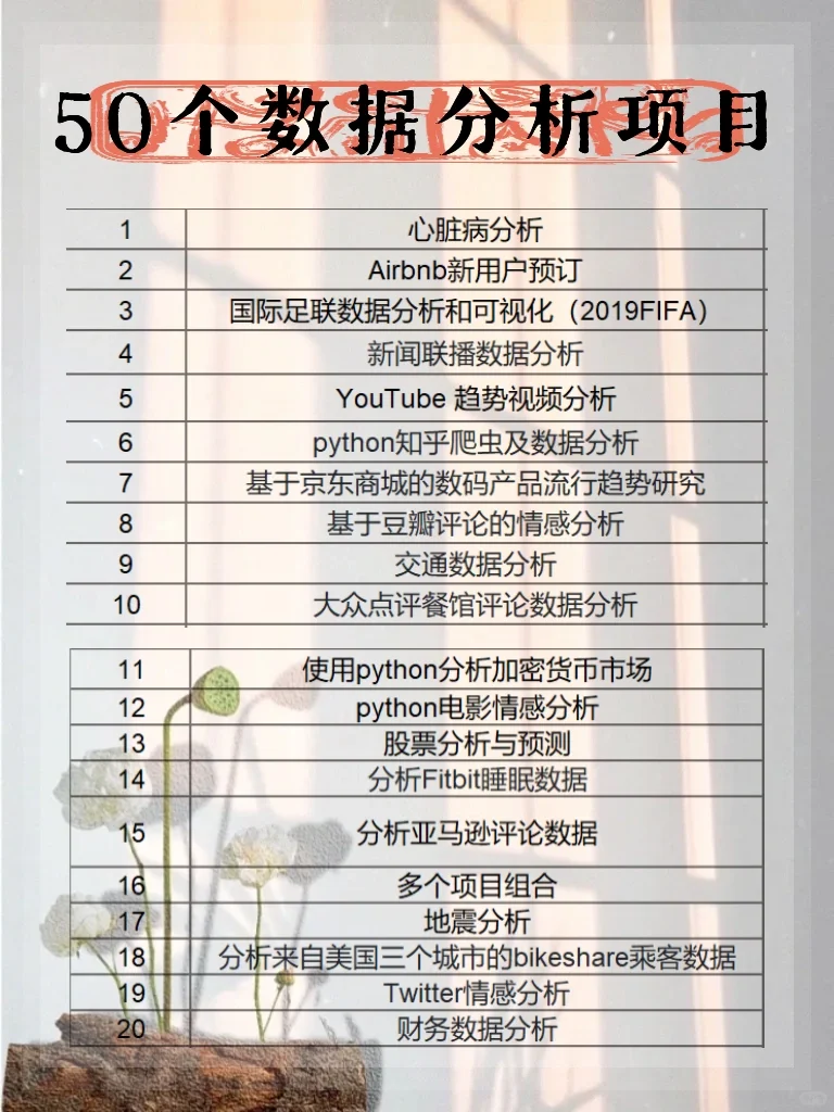 50个数据分析项目，让你成为数据小能手！