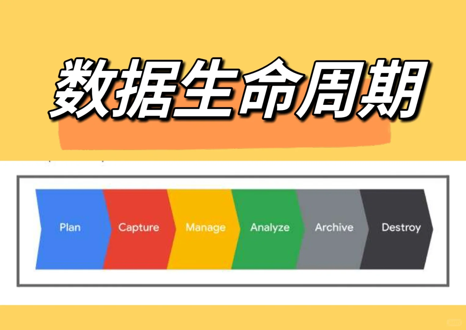 数据生命周期