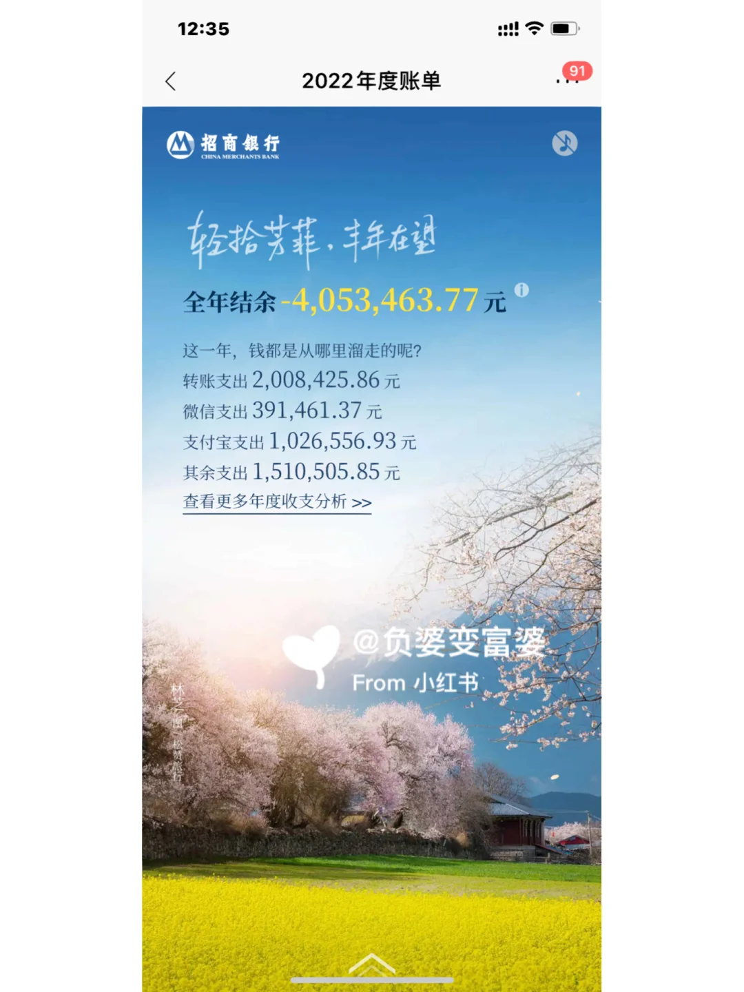 2022年年度招商银行储蓄卡收支报告