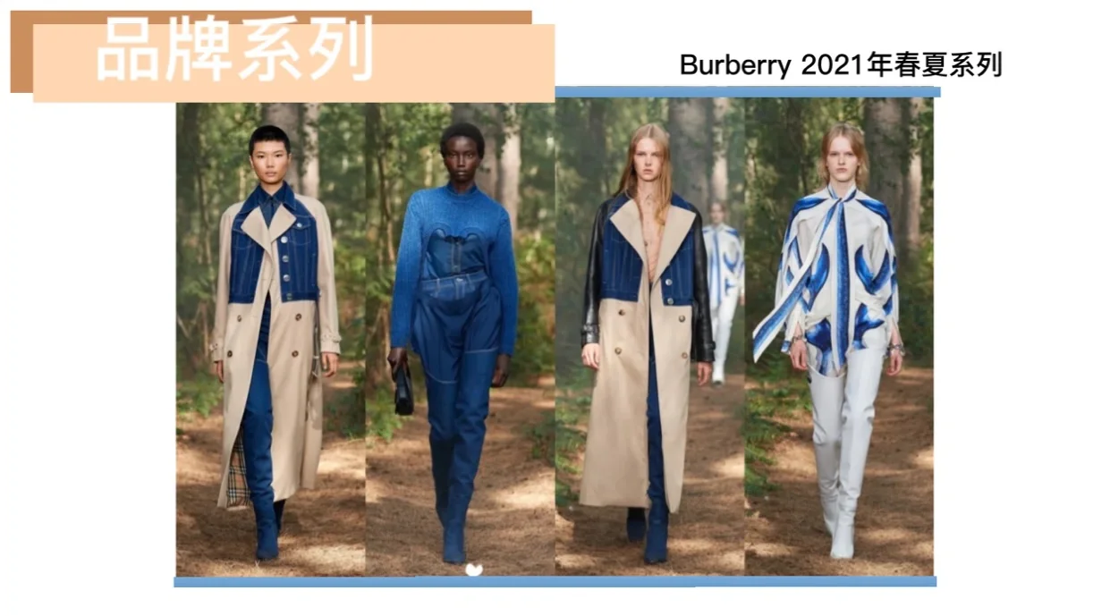 服装品牌调研案例分析1