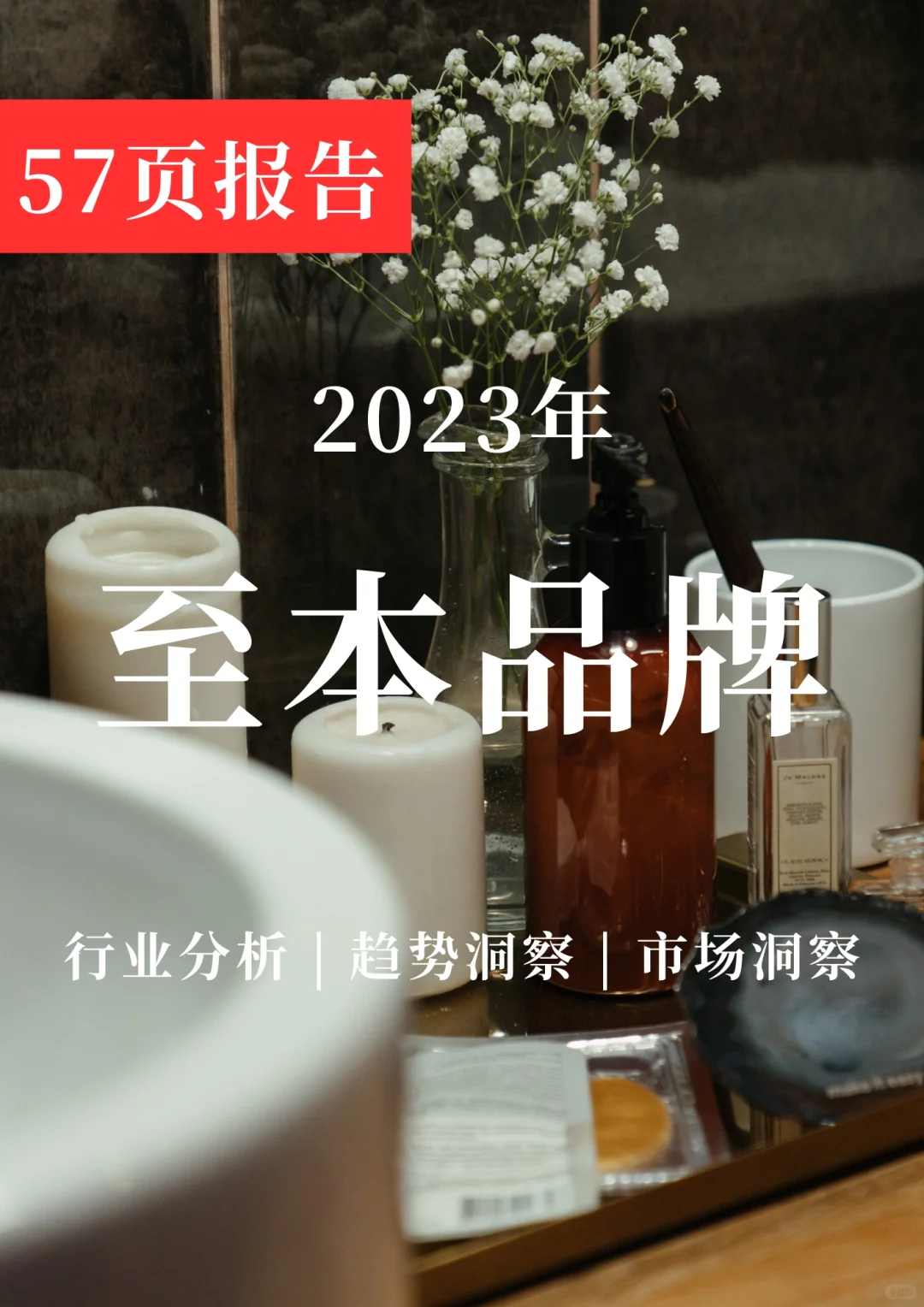深度报告 | 美妆护肤-至本品牌调研