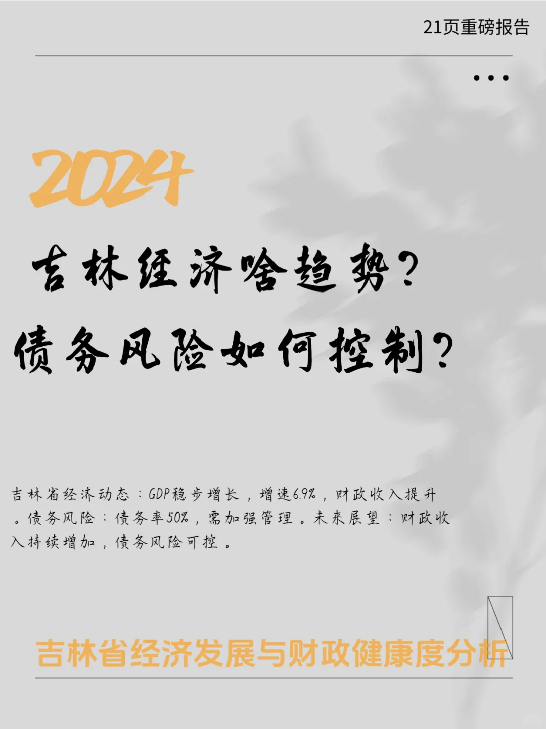 22页报告｜2024吉林省经济财政实力与债务研
