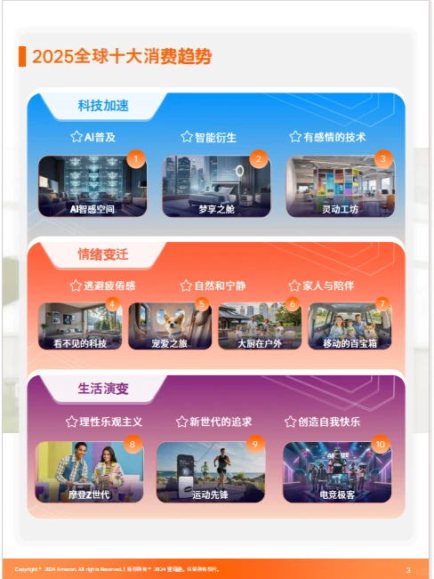 82页|2025全球电商选品趋势洞察报告