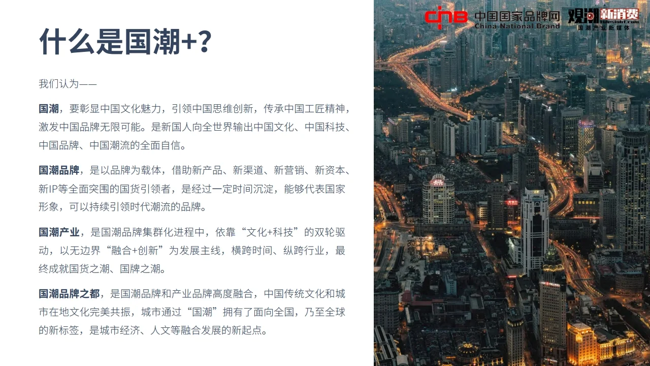 2022国潮品牌发展洞察报告行业报告研究
