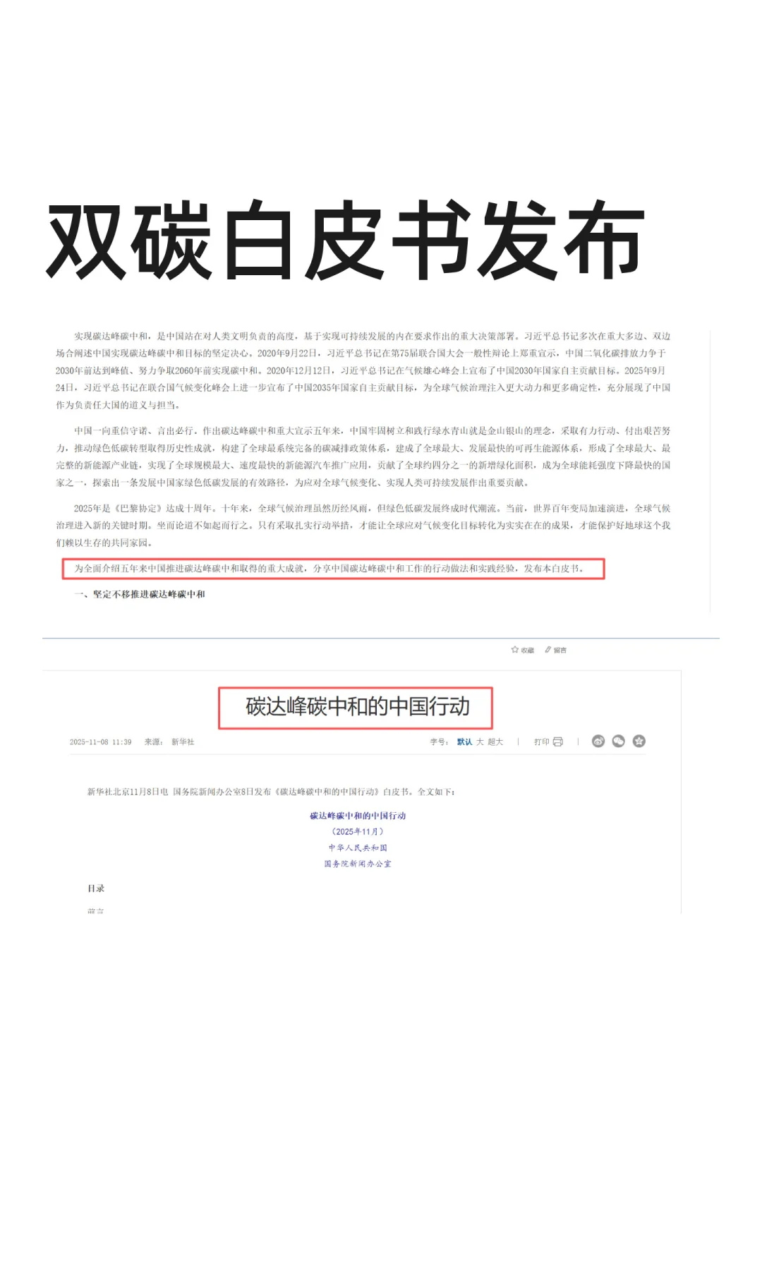双碳白皮书发布