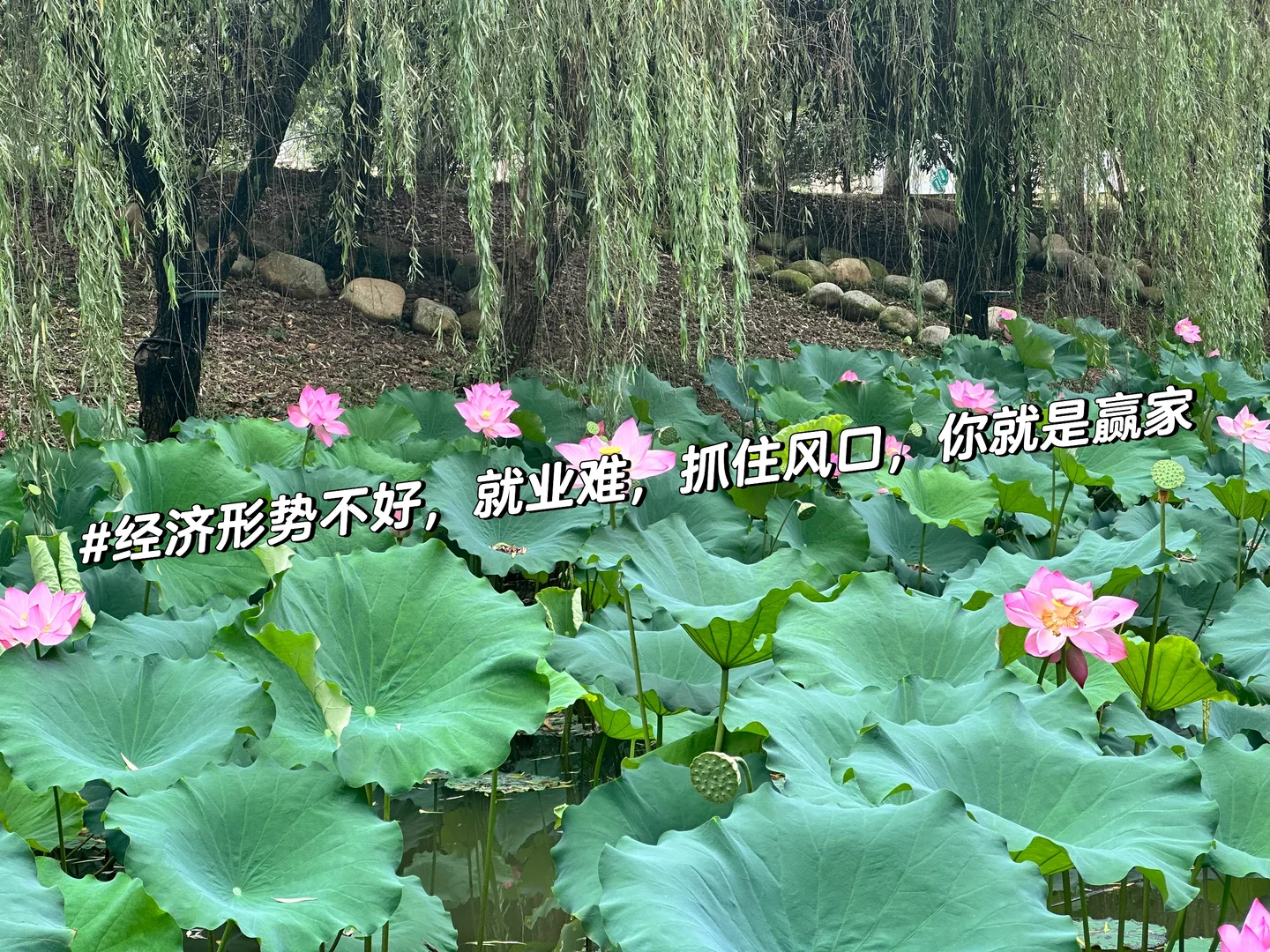 下一个风口在哪里??