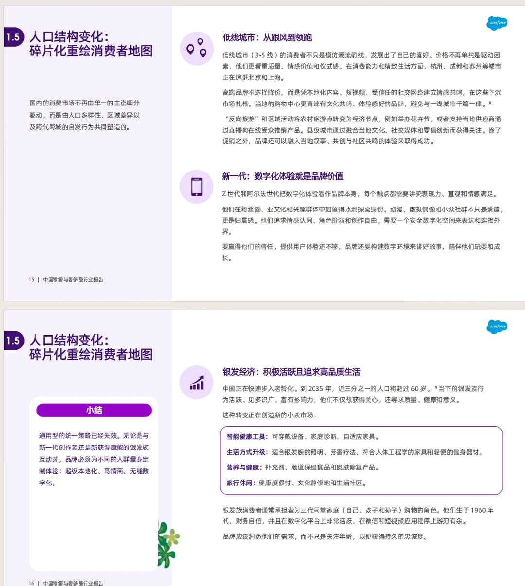 《2025中国零售与奢侈品行业报告》
