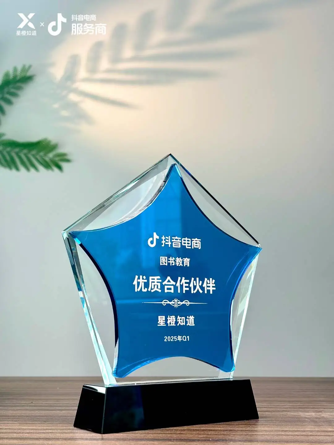 震惊!星橙知道企业背后的秘密,你竟一无所