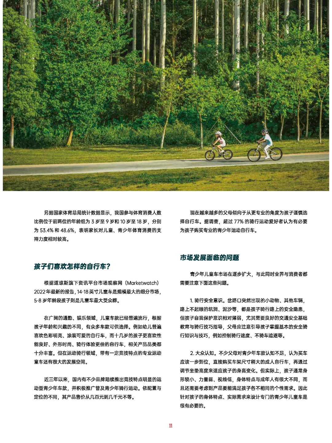 2022年中国自行车行业调查报告-111页