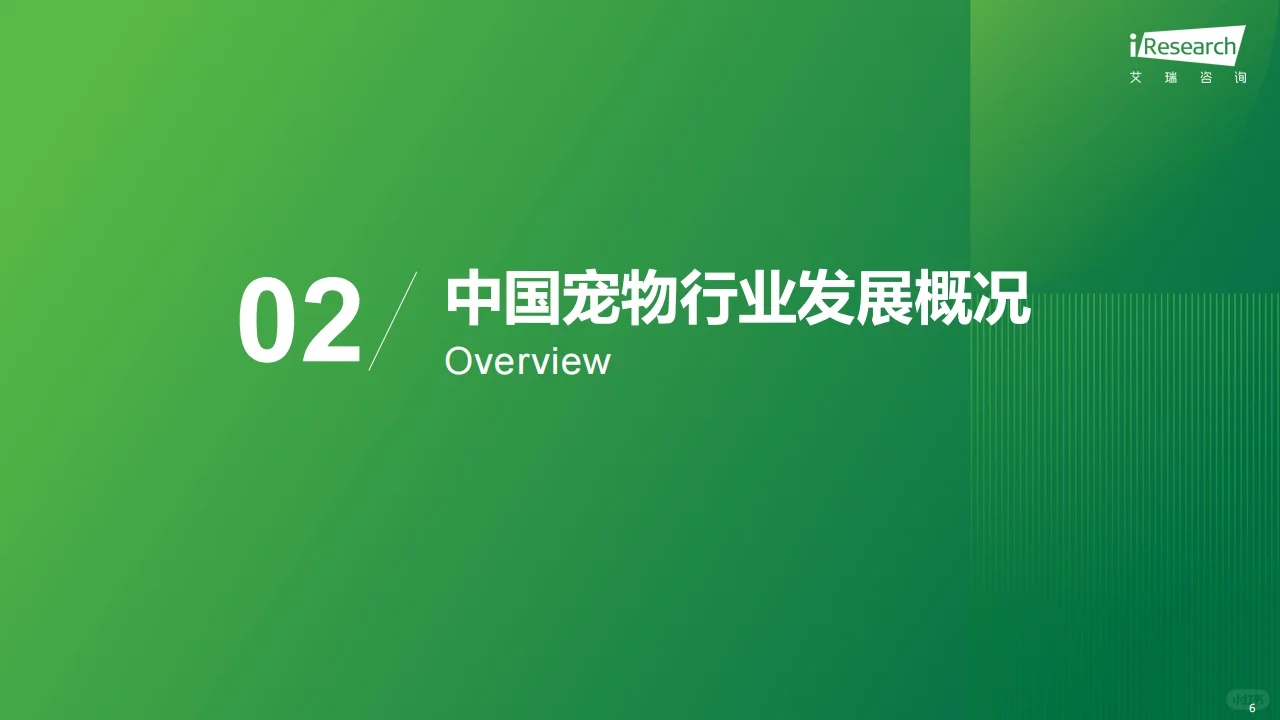 2024中国宠物行业趋势分析??