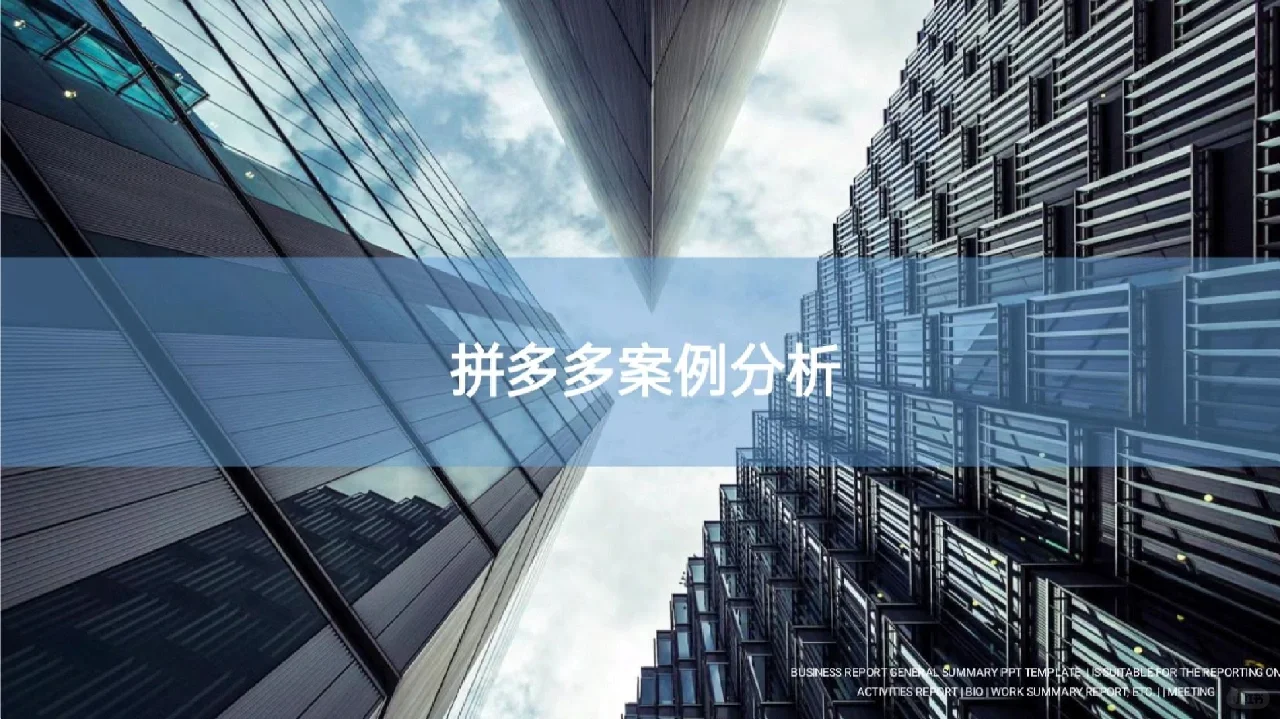 20期：拼多多电子商务营销案例分析