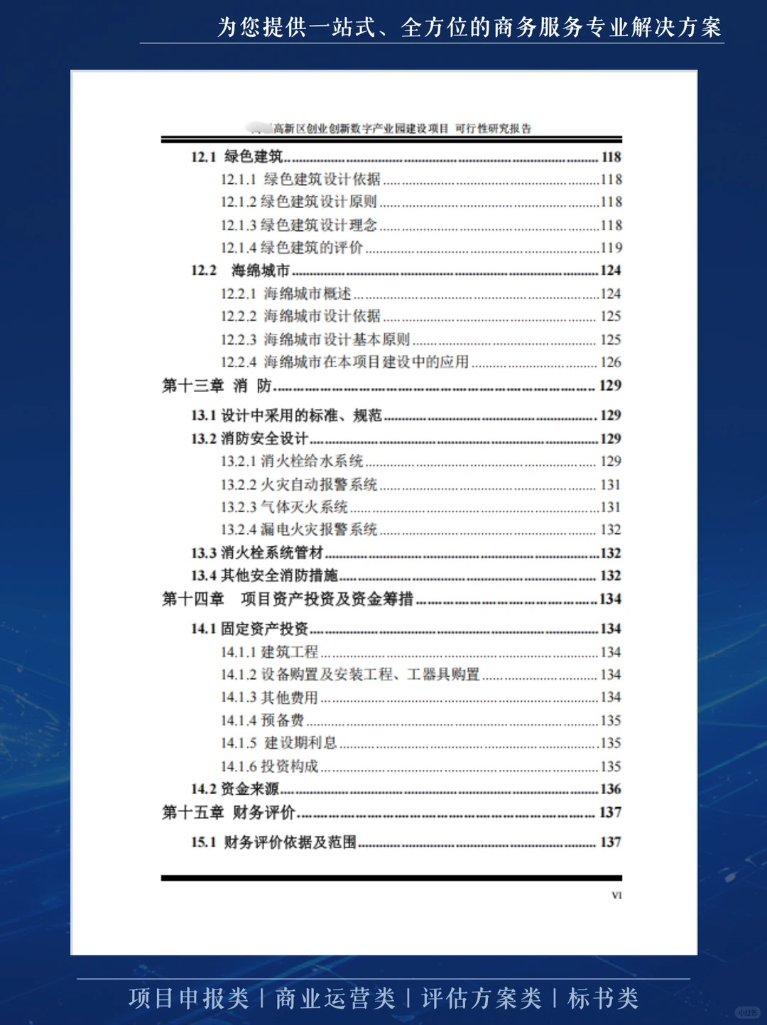 这份可行性研究报告，不仅厚而且专
